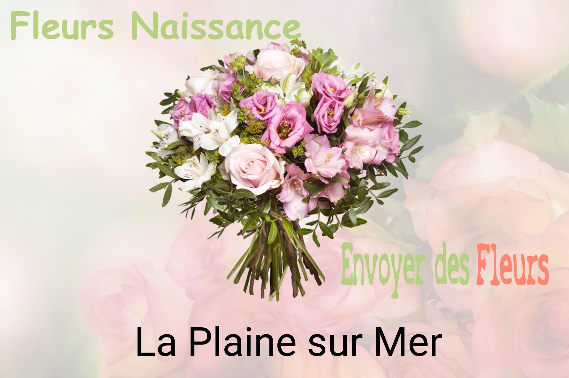 Bouquet de fleurs de naissance livré à La Plaine-sur-Mer